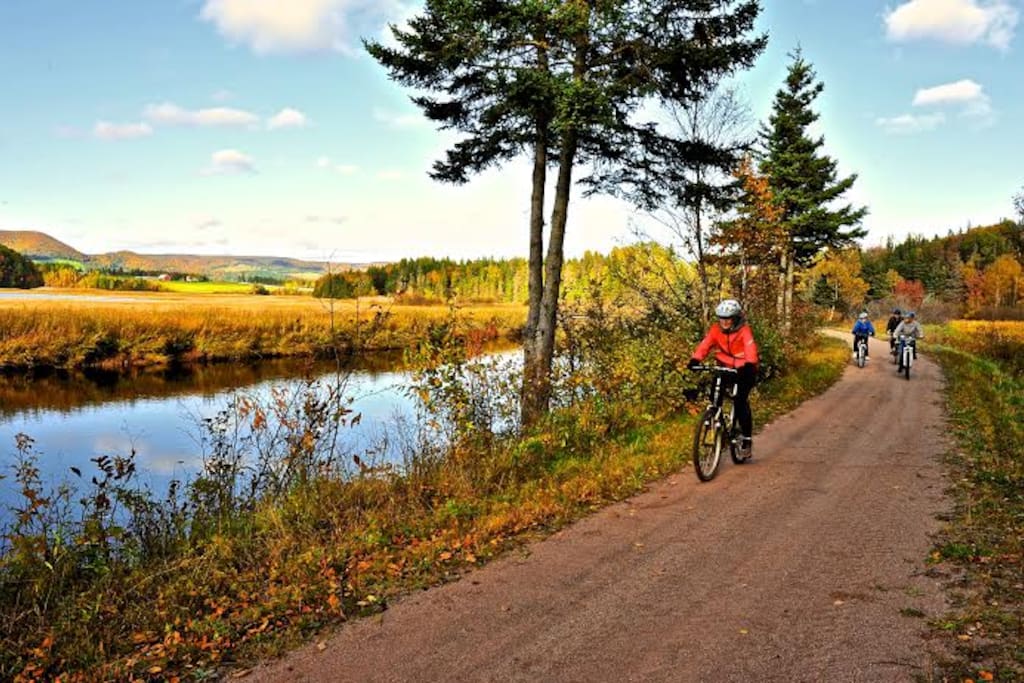 The famous Celtic Shores trail is just a quick ride away.