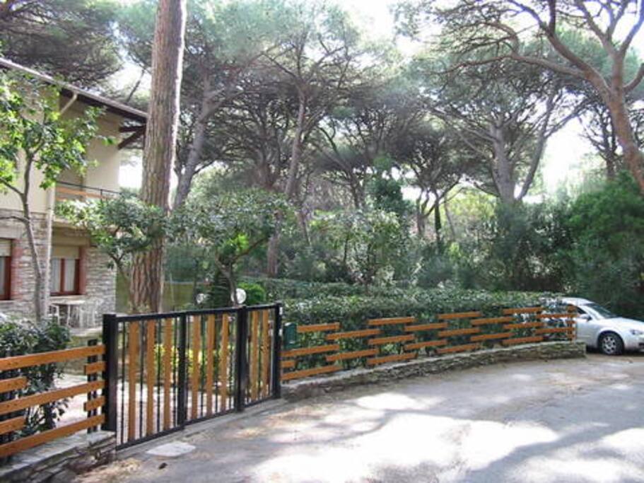 Vista dalla strada via della pineta