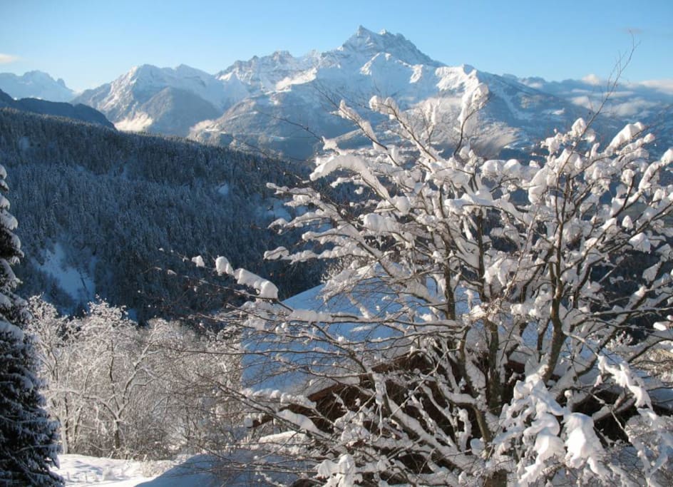 Le chalet en hiver.