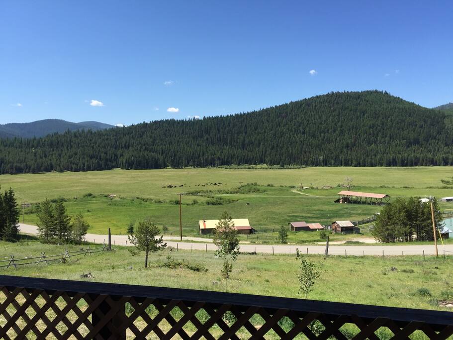 Top 100 Airbnb Rentals 2017 in Kalispell, Montana