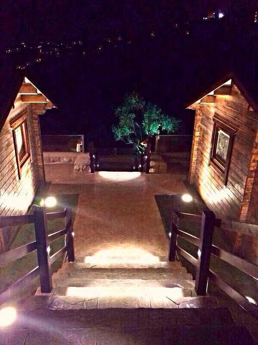 Pineville at Night