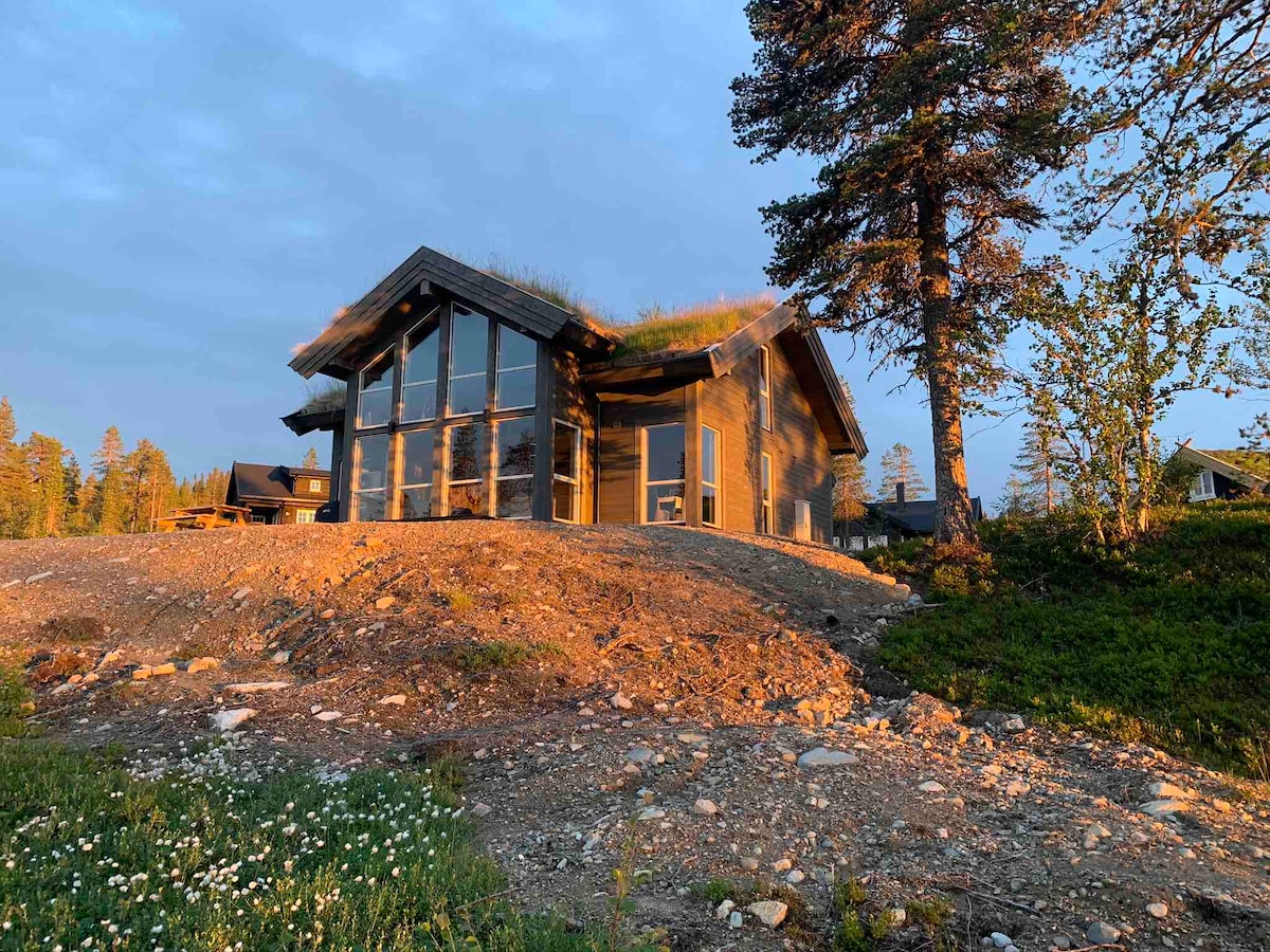 A modern cabin is positioned on a gentle slope, featuring a green roof and large windows that reflect the soft light of dusk. Surrounding greenery and rocky terrain enhance the natural setting, while the cabin is framed by scattered trees against a serene sky.