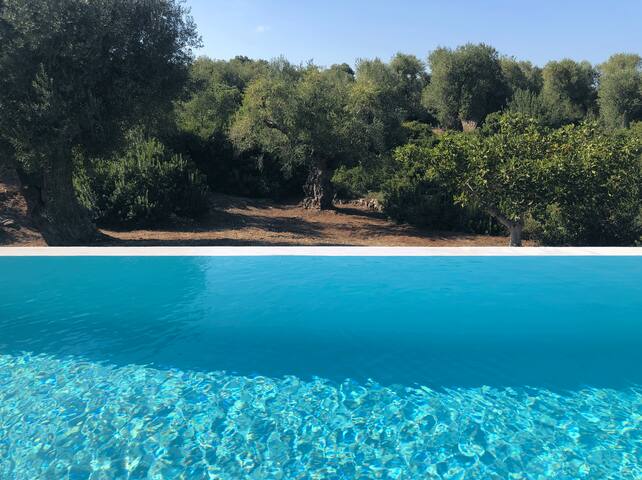 Villa with pool and sea view near Ostuni gallery image 2