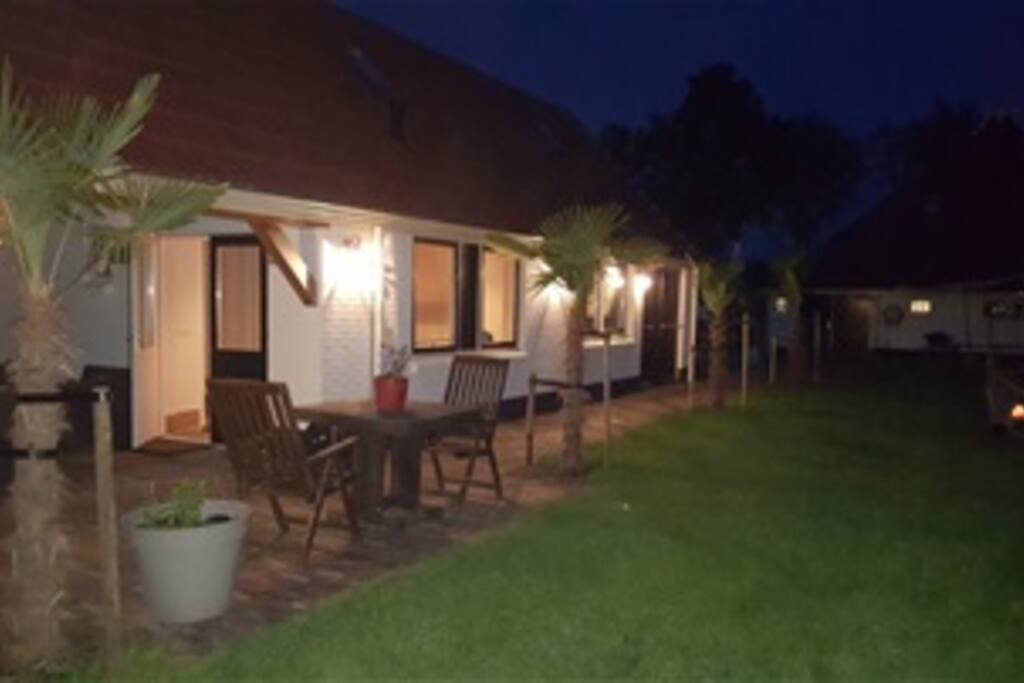 achtertuin 's avonds met de palmbomen