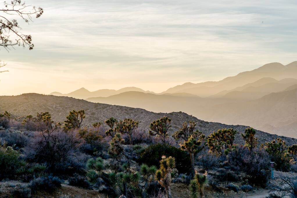 The view from inside the airstream is always spectacular