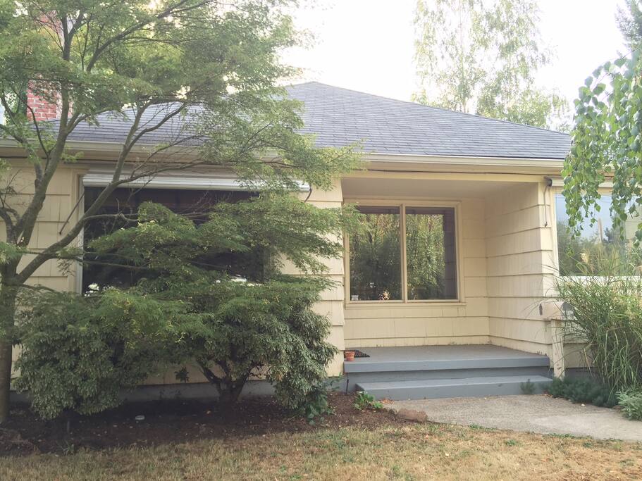 A Japanese Maple greats you on arrival