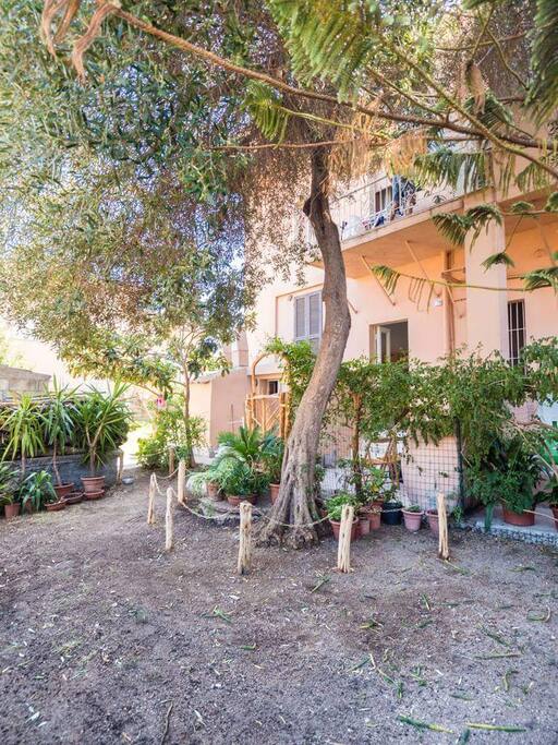 Giardino