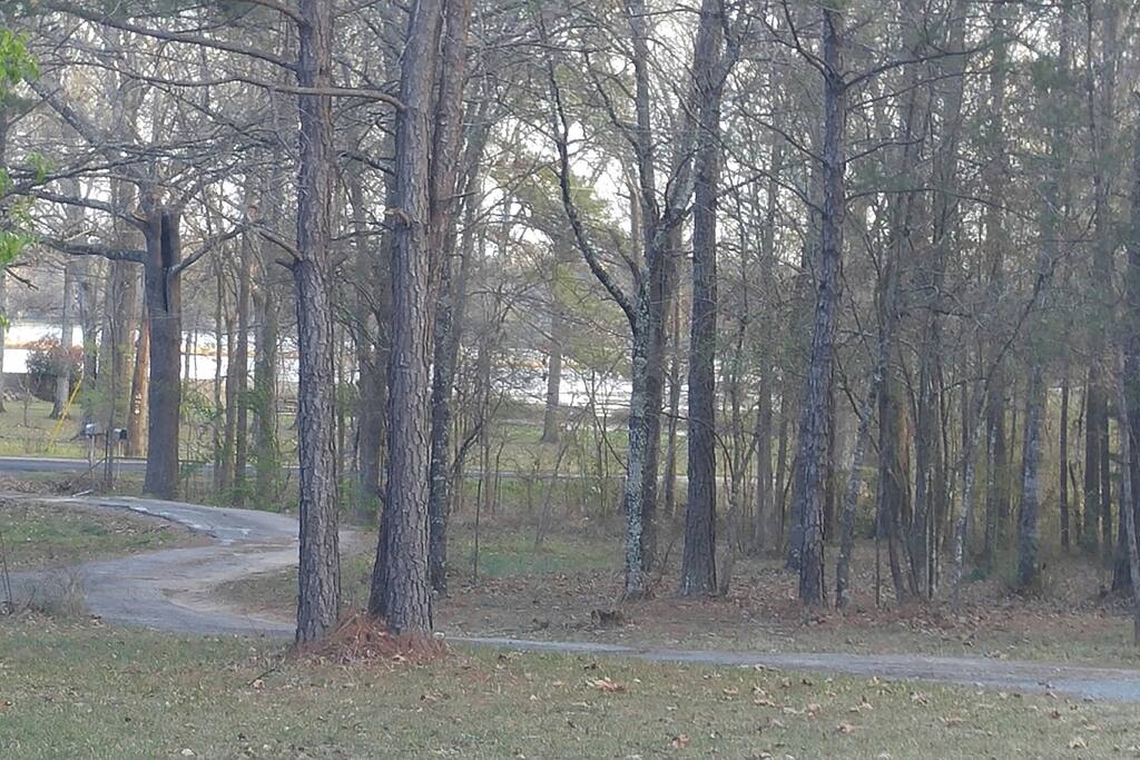 View of Sibley Lake from the yard