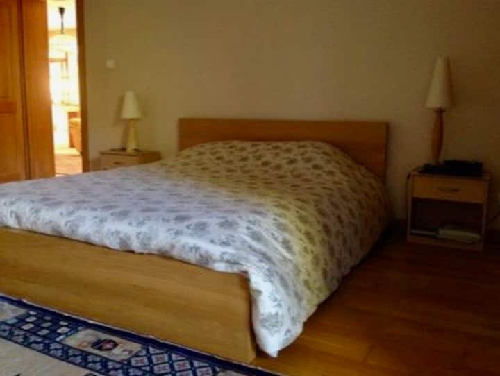 Chumba cha kulala kilicho na kitanda cha ukubwa wa malkia kwenye ghorofa ya chini