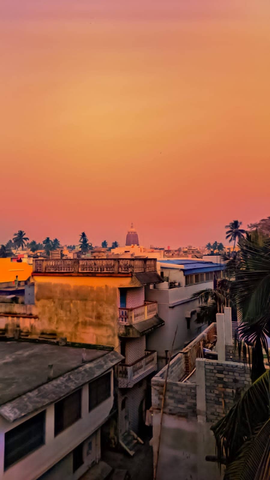 The image captures a vibrant sunset view from the rooftop, showcasing the silhouette of the Jagannath Temple amidst local architecture. The warm orange and pink tones of the sky create a serene backdrop, while palm trees and rooftops fill the foreground, enhancing the cultural ambiance of Puri.