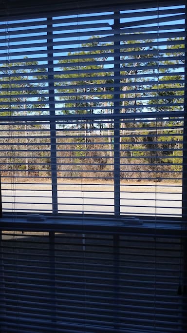 Your view from the room