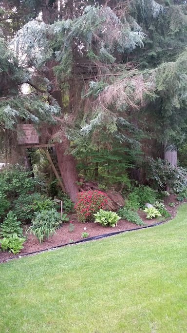 Tree fort, feel free to use it...