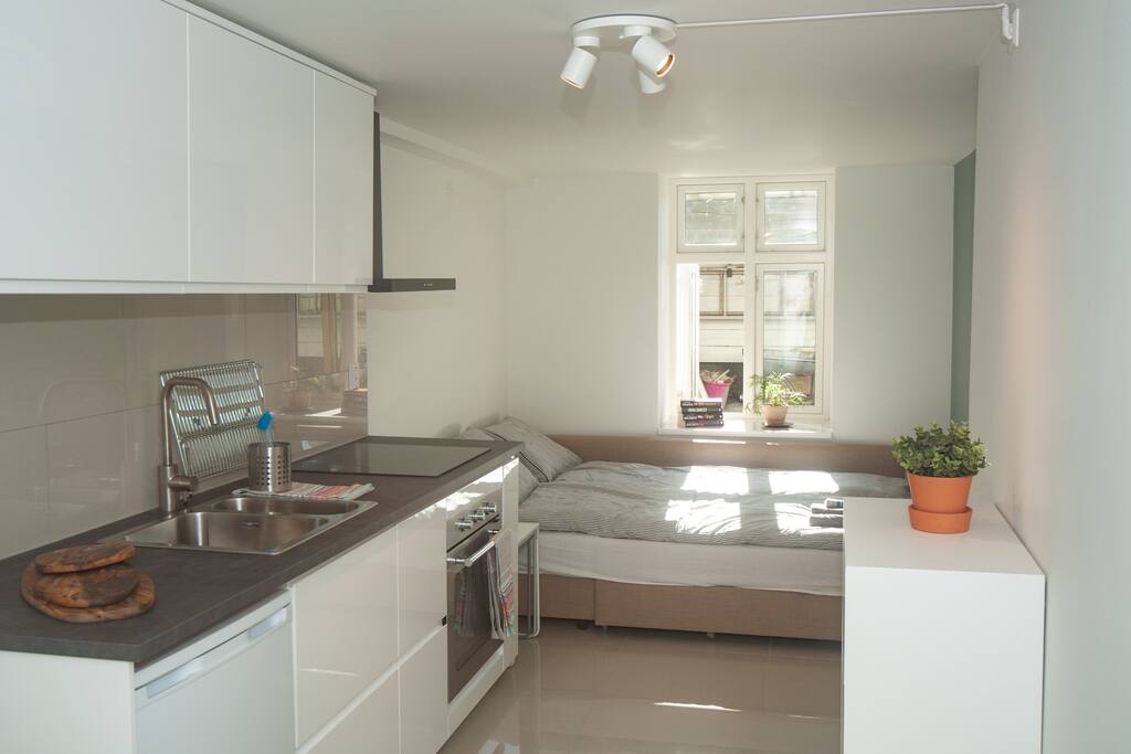 The kitchen and living room is combined. The sofa is a pull out sofa bed, with room for two persons. On the left you see an shelf with storage possibilities.