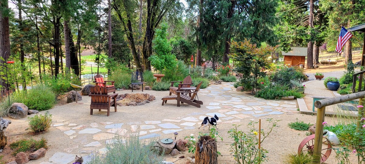 A spacious outdoor area features a stone pathway surrounded by various plants and trees. Several wooden chairs are arranged near a fire pit, creating a cozy gathering space. Subtle decorations and an American flag add charm to the peaceful setting.