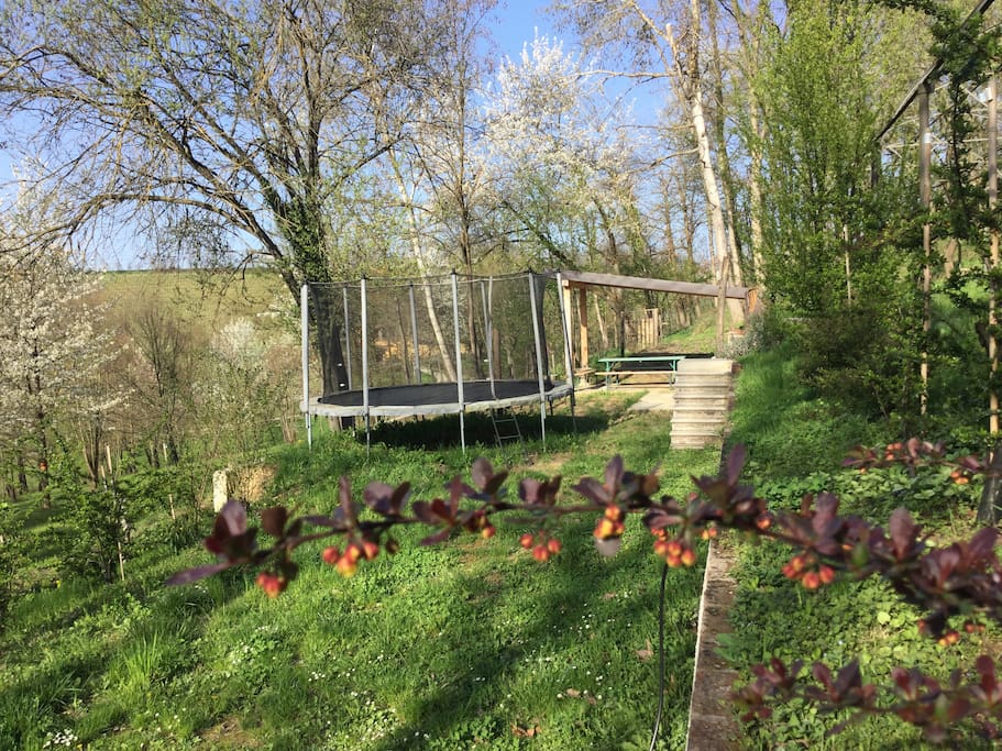 Il giardino con giochi e area barbecue a disposizione degli ospiti