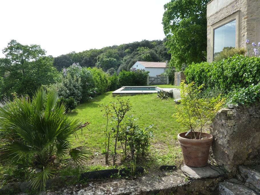 La piscine au milieu des chênes verts