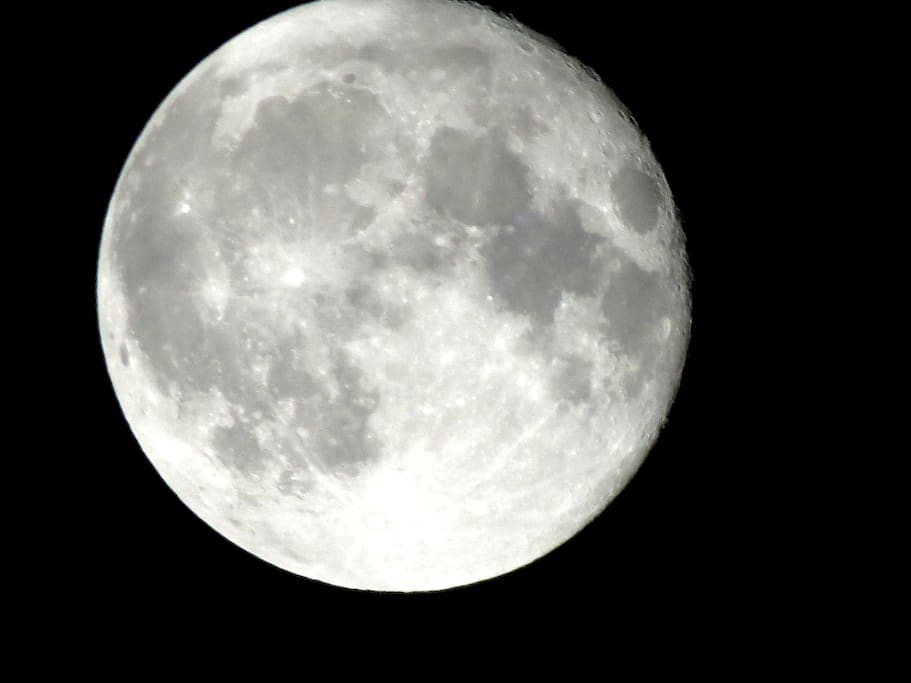 Looking at the moon from our backyard