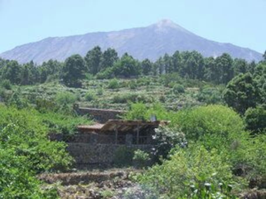 Vistas