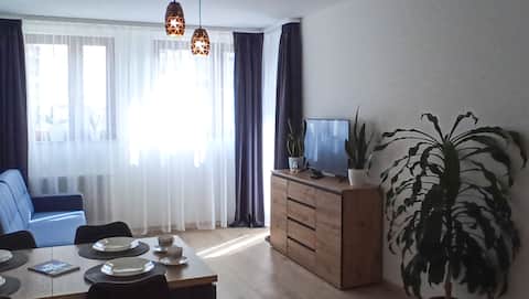 Top performing Airbnb: FREE parking spot, Tauron Arena, EXPO, Cogiteon, in Czyżyny