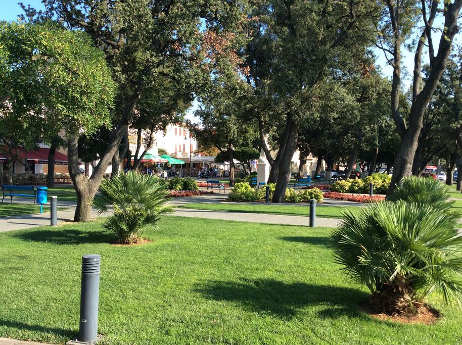 city Punat