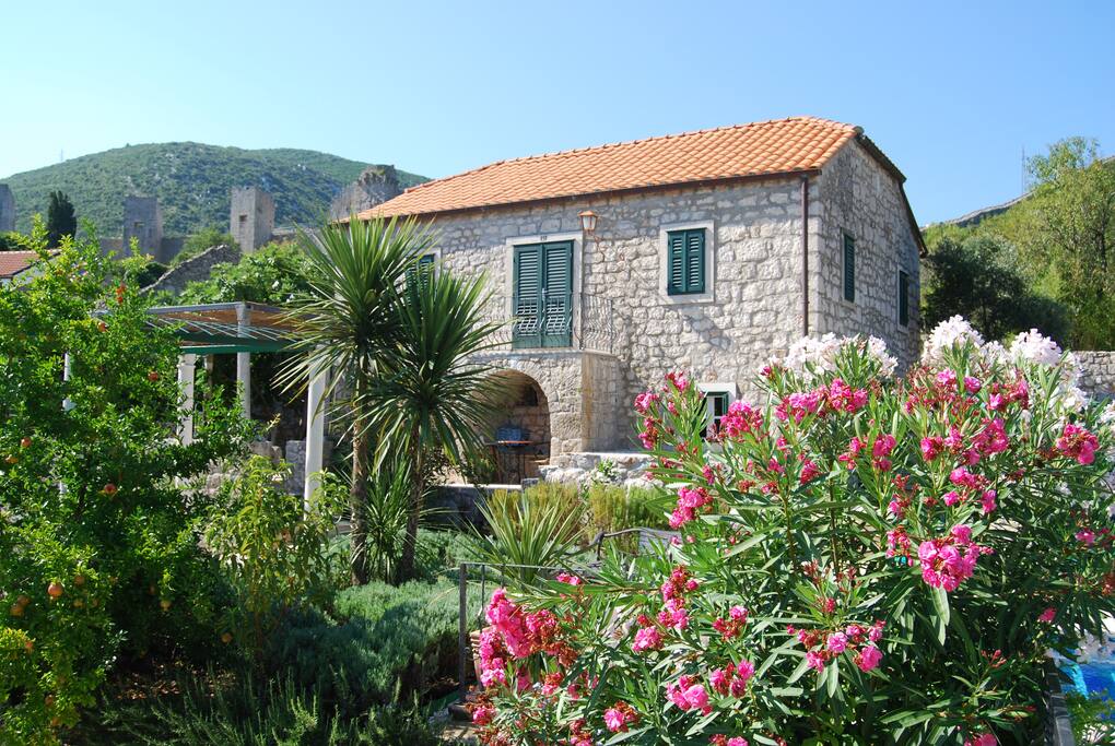 Villa Mimosa