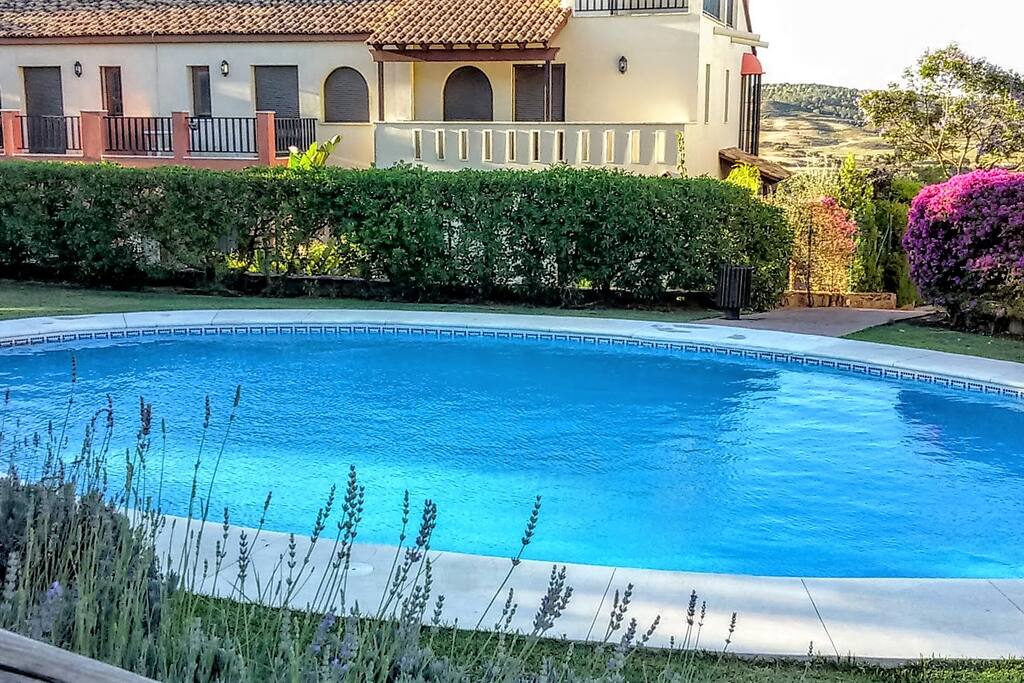 Pool in landscaped gardens