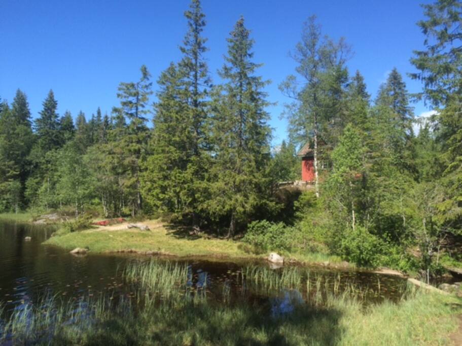 Nydelig beliggenhet ved et flott bade- og fiskevann.