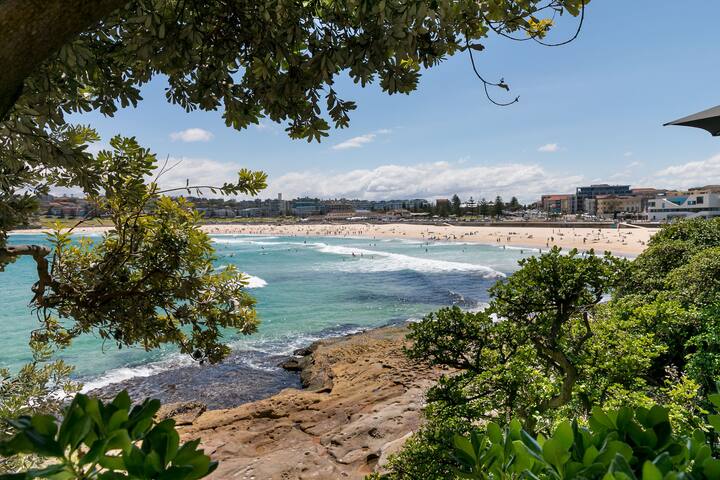 Absolute waterfront on North Bondi gallery image 4