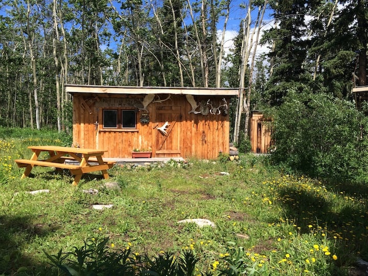 Atlin Vacation Rentals & Homes British Columbia, Canada Airbnb