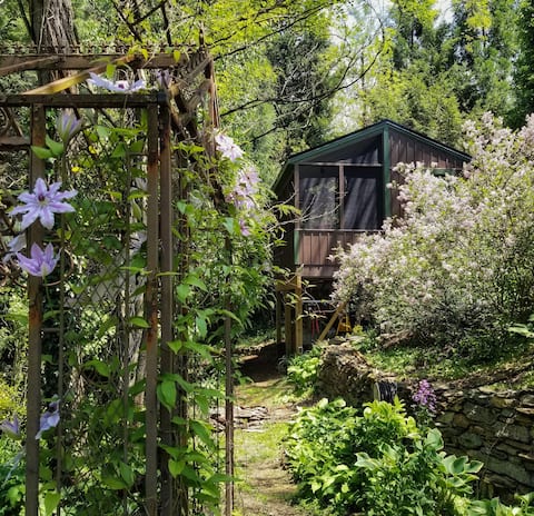 Retro Tiny Cabin in the Trees