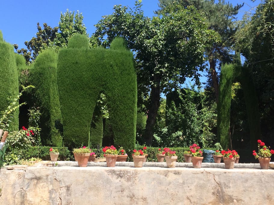 La vista al jardín desde la entrada de la casa