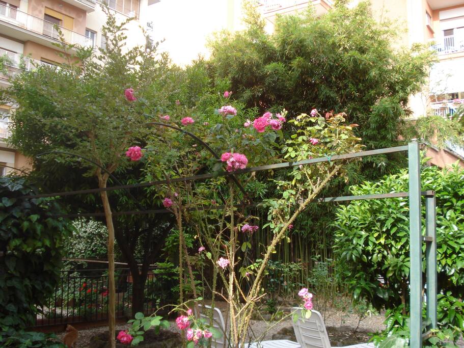 Giardino