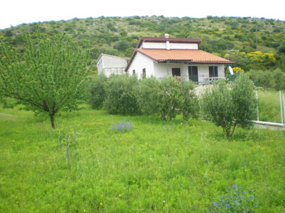 house