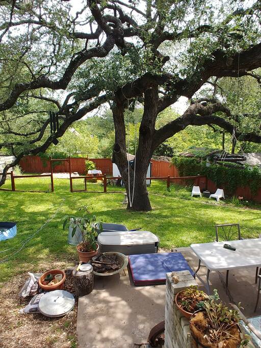 park-like backyard