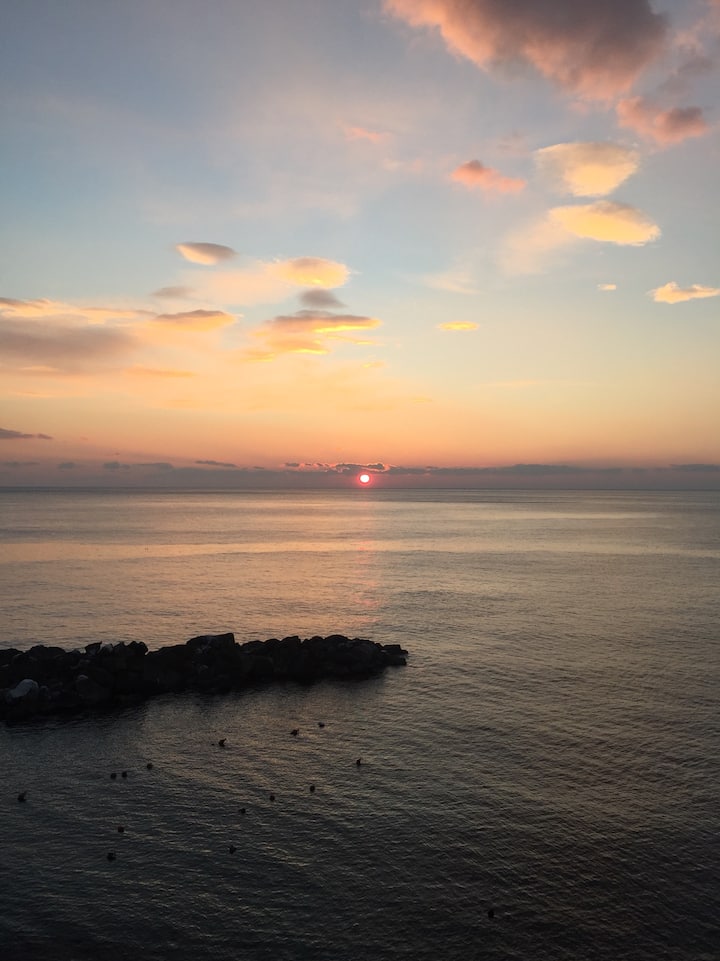 Agave 302 : Private garden above the sea! - Houses for Rent in Riomaggiore,  Liguria, Italy - Airbnb
