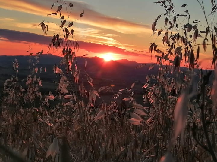 Family Loft 3p · Quiet Countryside Stay - Montalcino