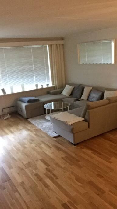 Stor stue med behagelig sofa