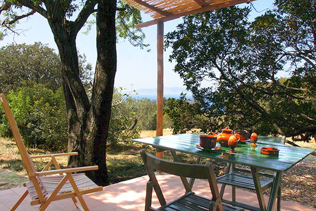 Patio / Balcony
