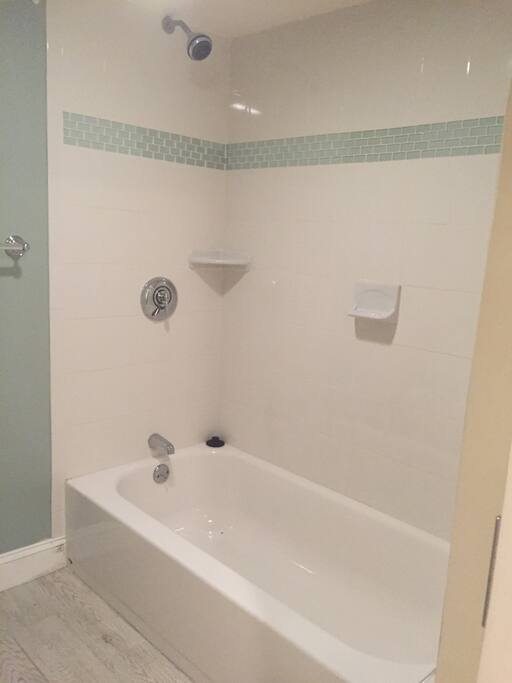 Newly Renovated Bath and Shower