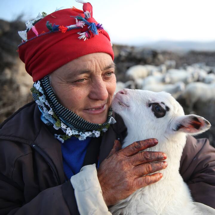 A shepherd wears a red head covering, thick gray jacket, and pets a white lamb. Behind them lay sheep, hills, and bushes.