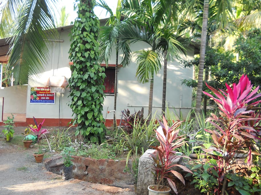 garden view outside rooms