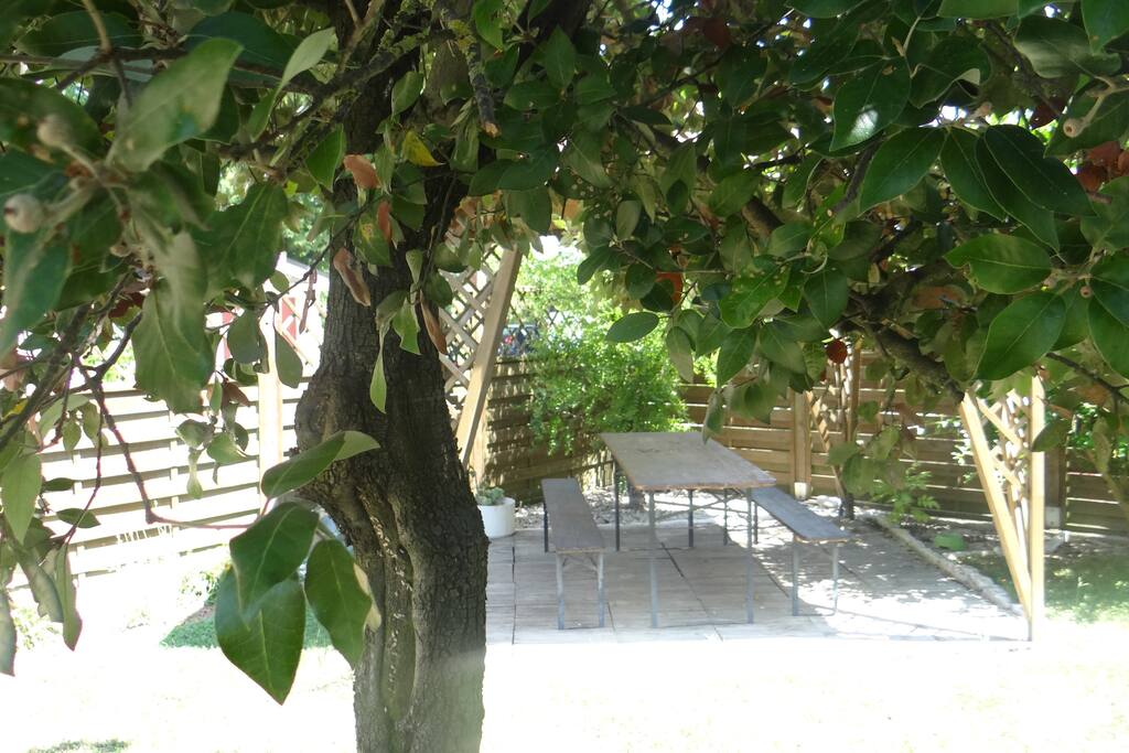 VISTA GIARDINO IN COMUNE
