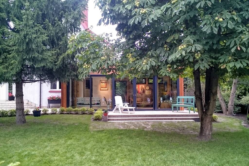 View from the garden with many large trees, including 3 apple trees