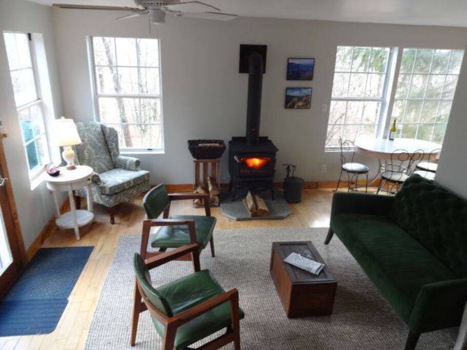 Living Room with Fire