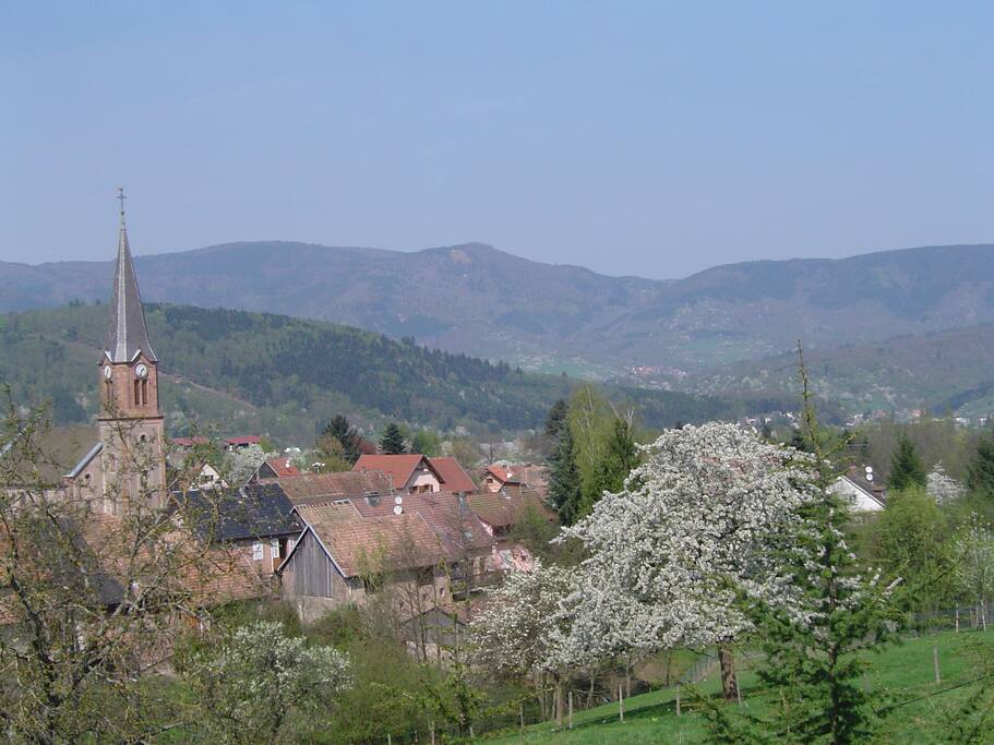 Spring time