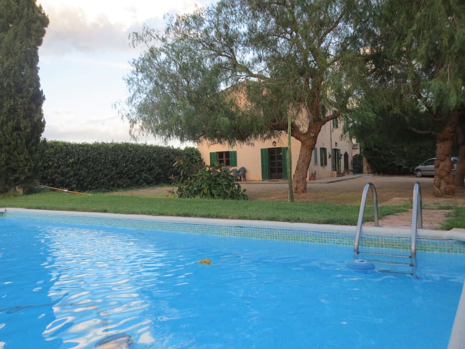 lovely pool