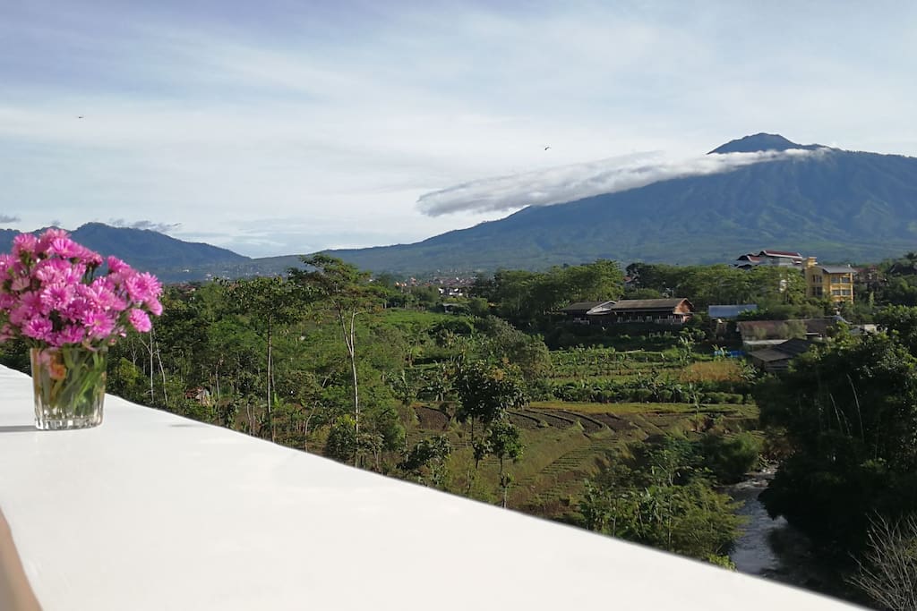 Mt. Arjuno from first floor terrace