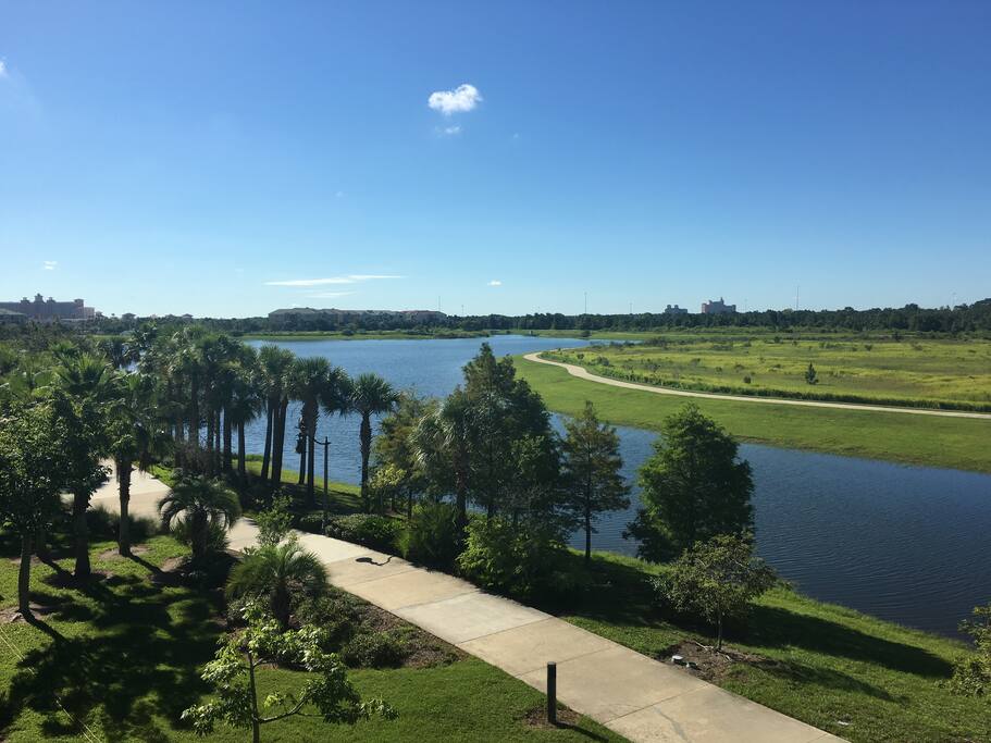 view from terrace