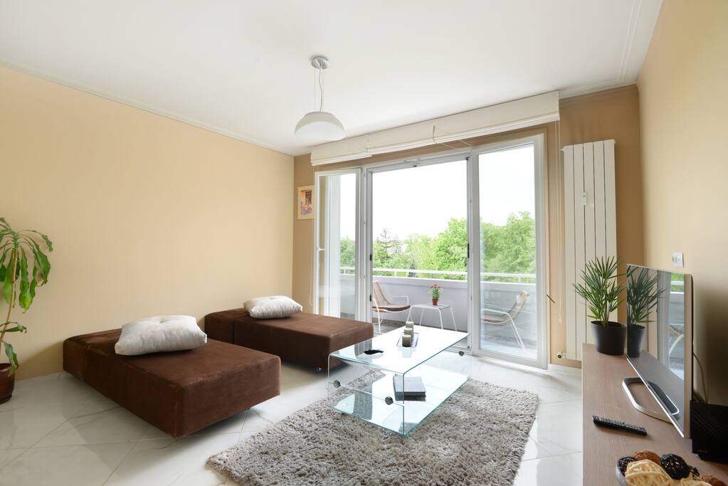 The two single sofa beds