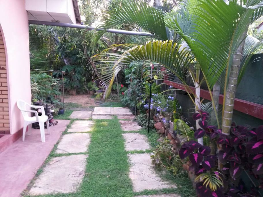 garden